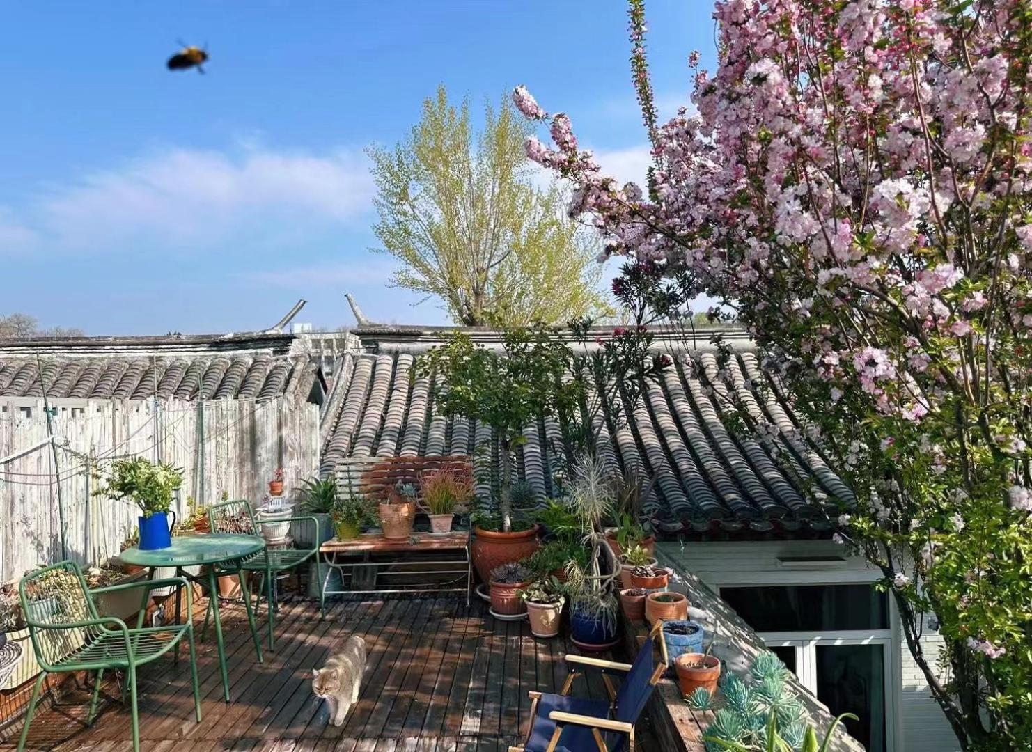 Peking Garden Boutique Hotel Екстериор снимка