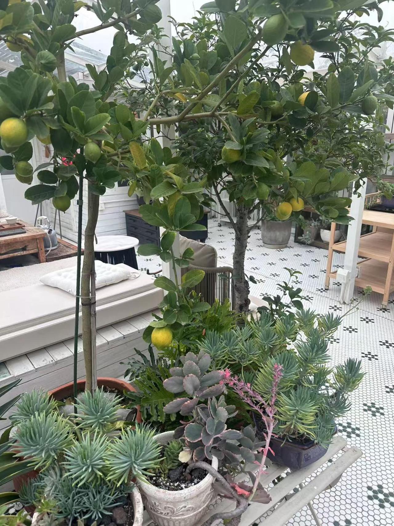 Peking Garden Boutique Hotel Екстериор снимка