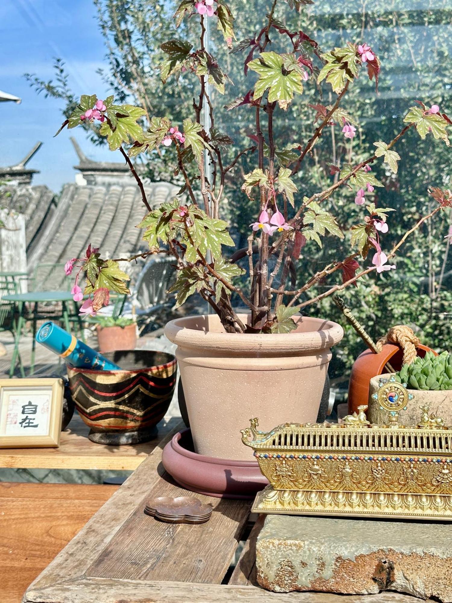 Peking Garden Boutique Hotel Екстериор снимка