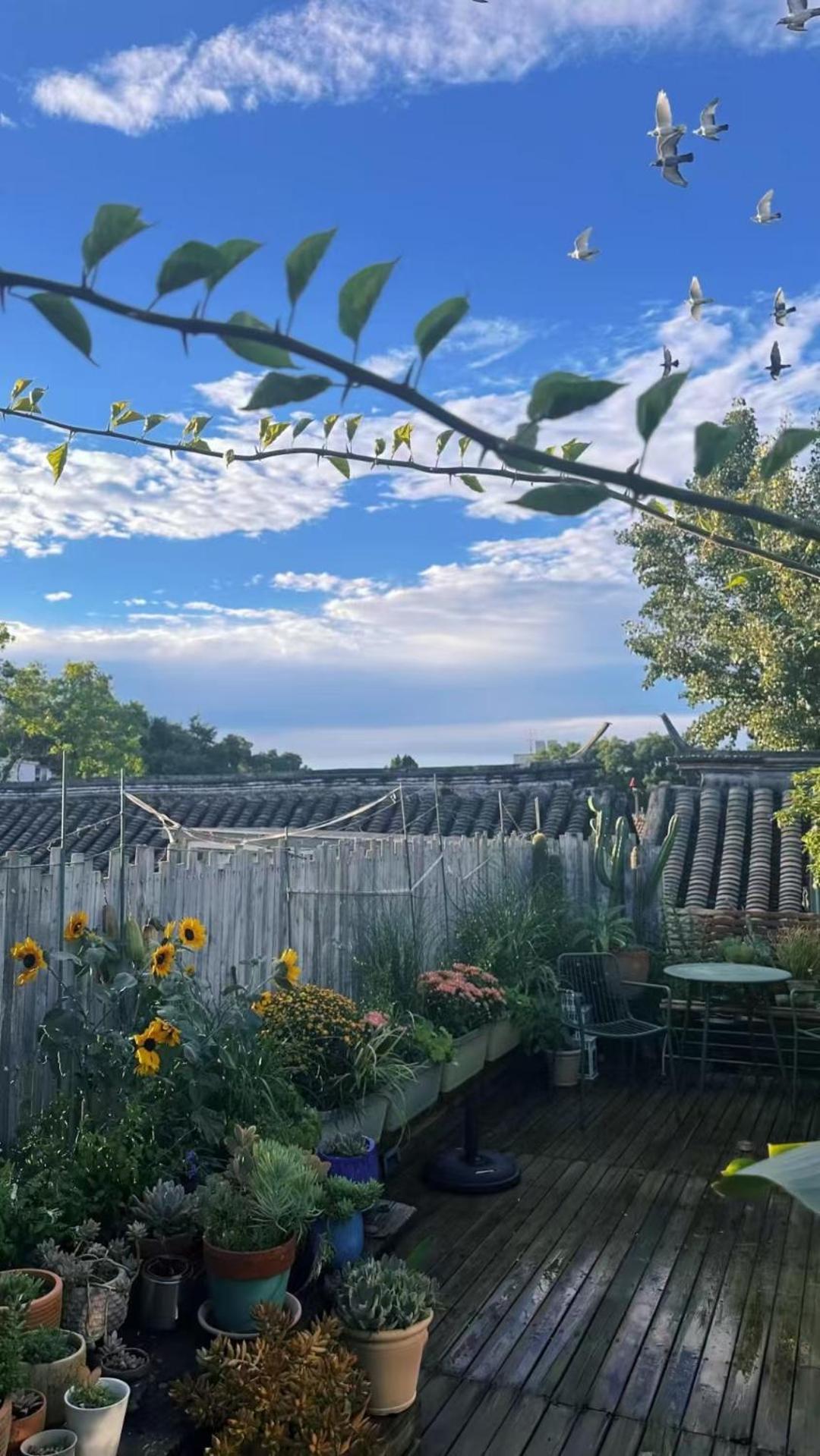Peking Garden Boutique Hotel Екстериор снимка